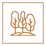 ApSwissRenovation environnement