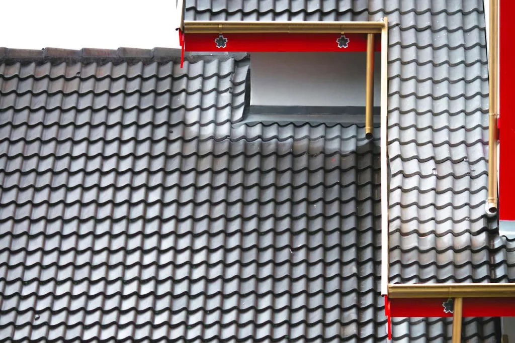 Apswissrenovation Toiture nettoyage