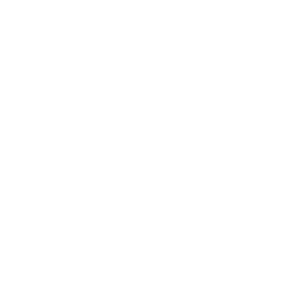 ApSwissRenovation phone