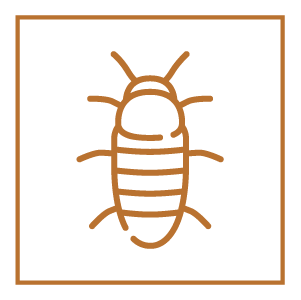 ApSwissRenovation vrillettes