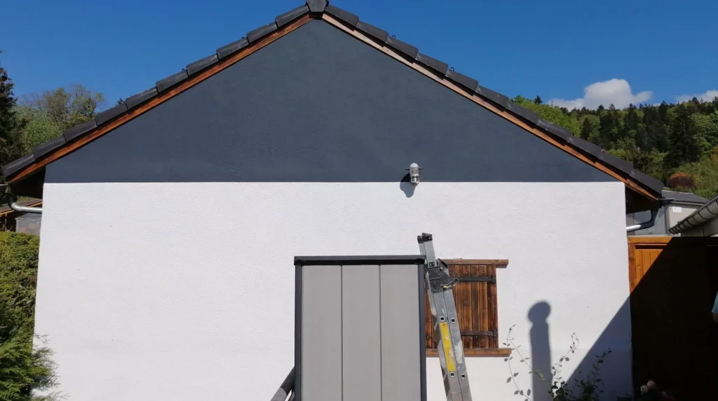 Apswissrenovation Surface Exterieur offre complete