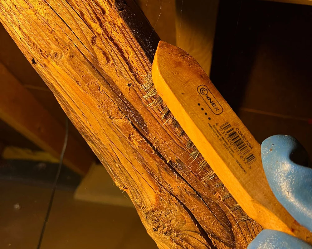 Apswissrenovation Traitement Bois Preventif